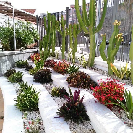 Appartement Colina Blanca Tenerife. Costa Adeje (Tenerife)